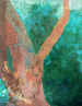 041_41.jpg (103541 bytes)