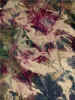 049_49.jpg (99622 bytes)